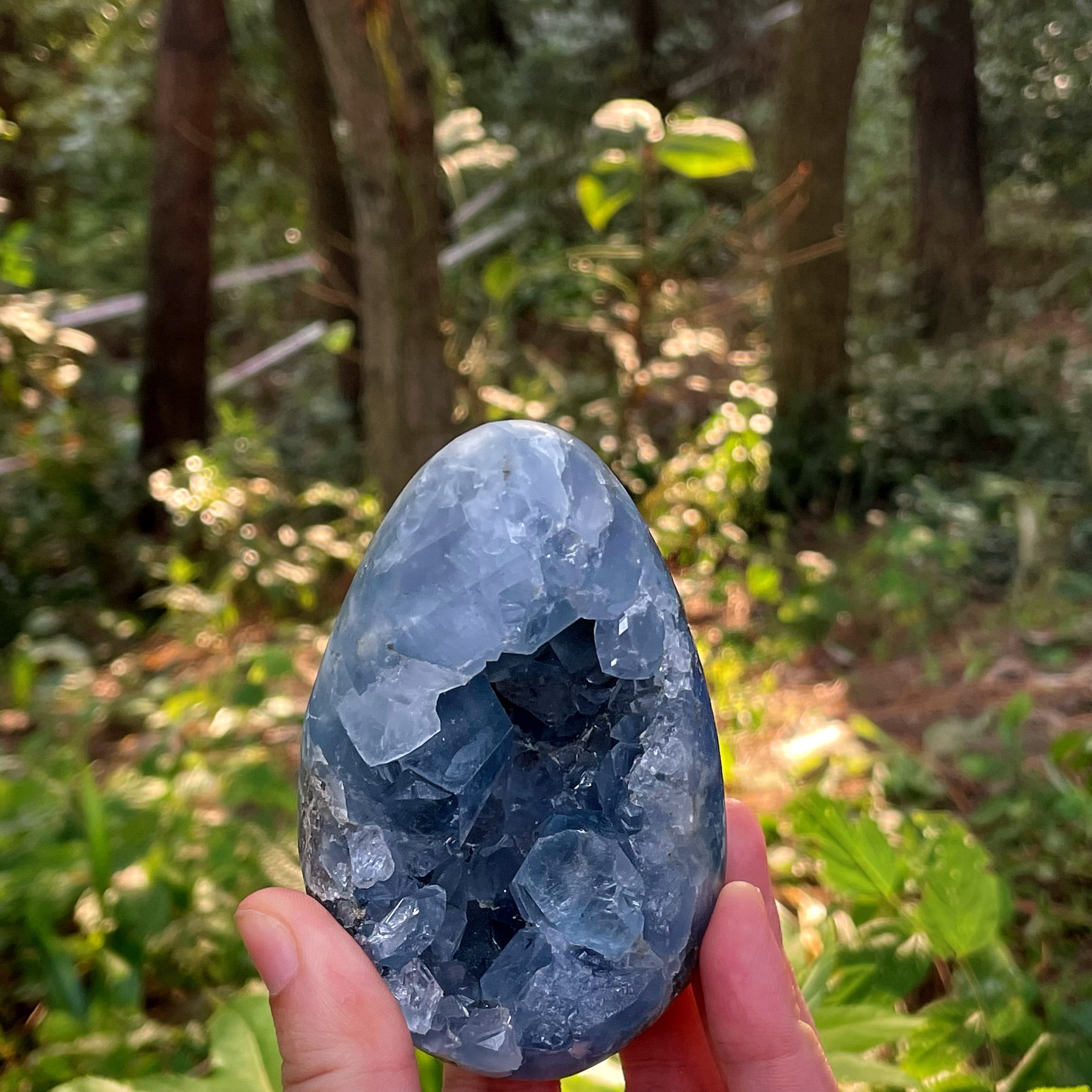 EnergyShine Natural Celestine Geode | A Piece of the Sky · Serene Communication & Space Purification
