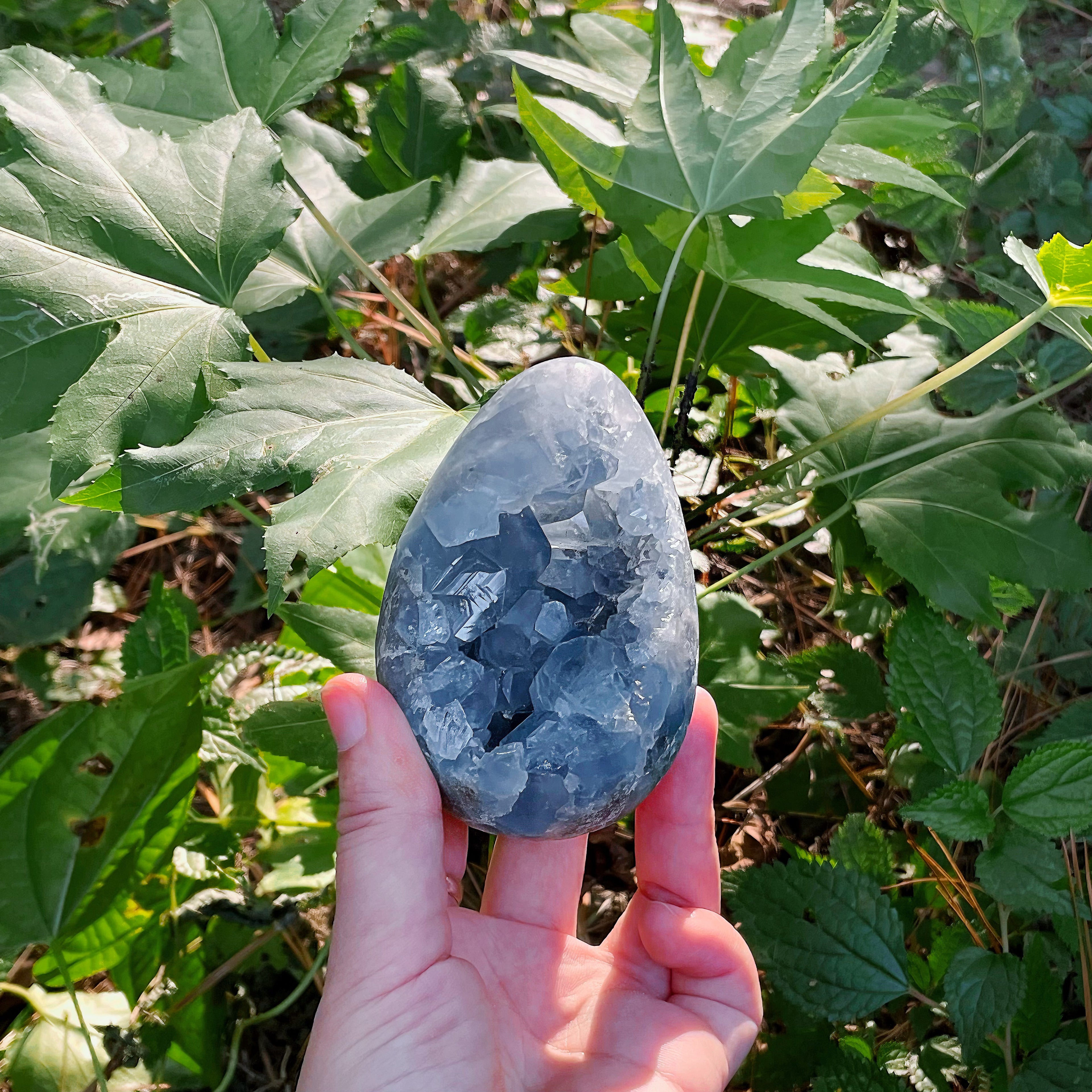 EnergyShine Natural Celestine Geode | A Piece of the Sky · Serene Communication & Space Purification