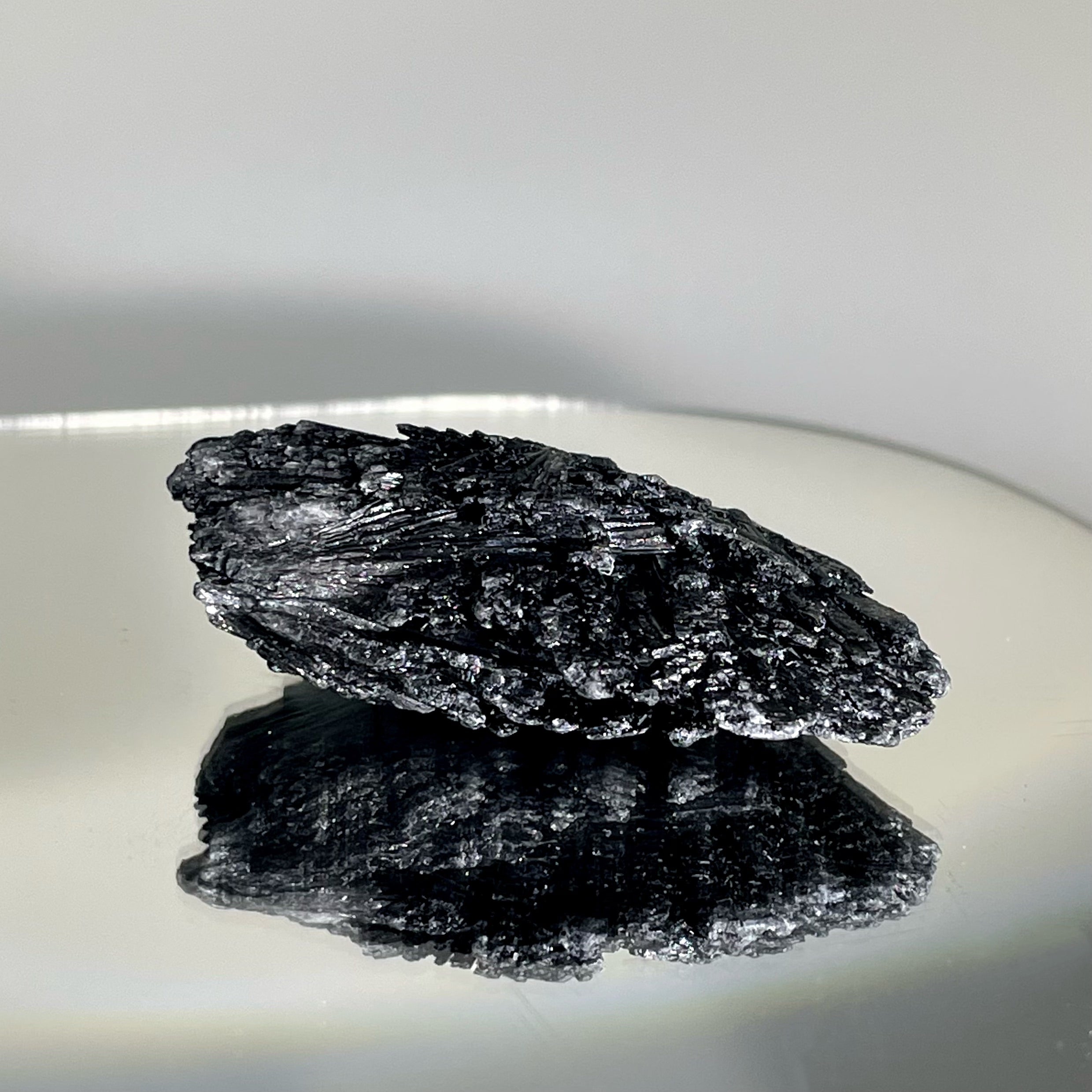 Energyshine Natural Tourmalinated Quartz Specimen | Black Tourmaline Raw Stone Aromatherapy Decor 🌳⚫ - EnergyShine