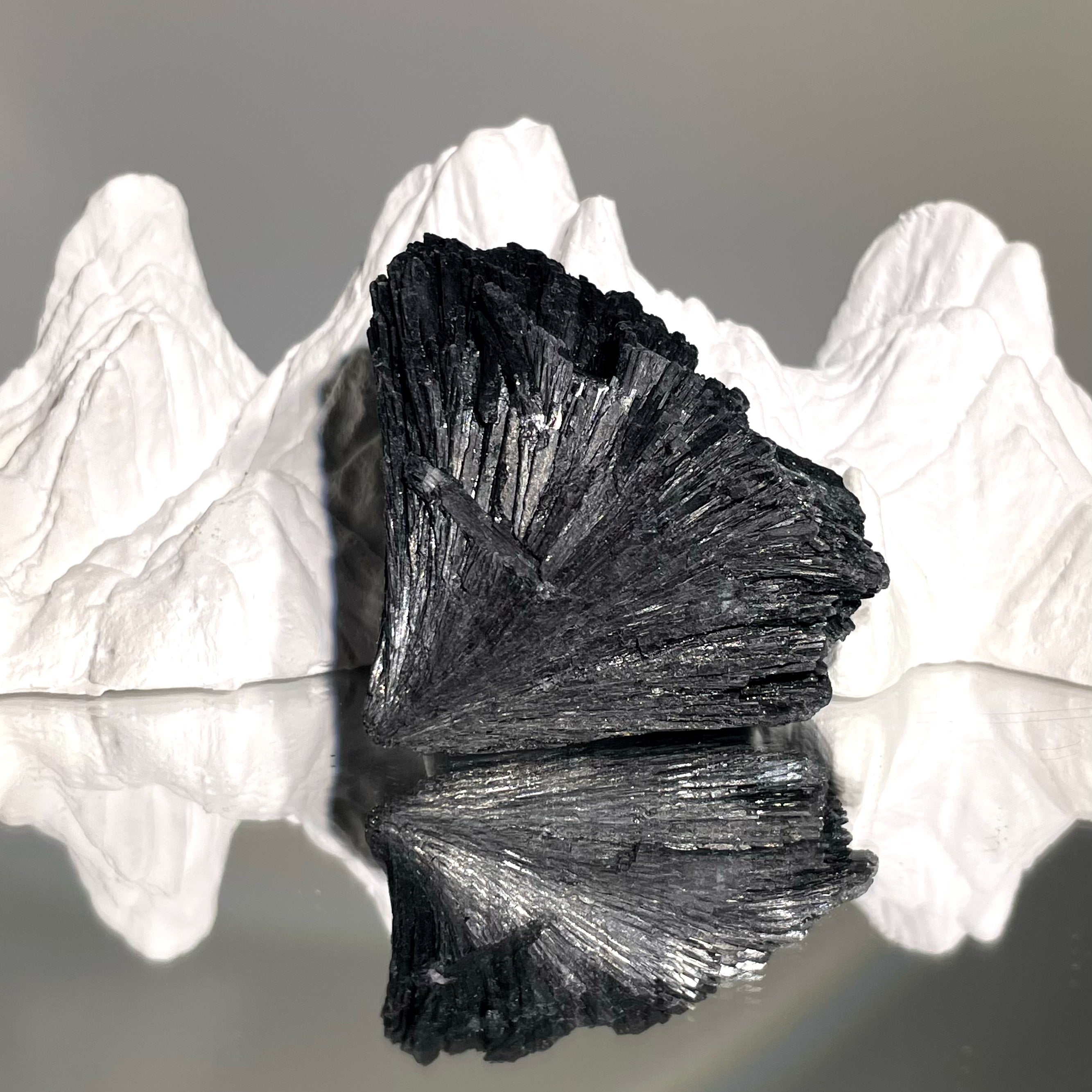 Energyshine Natural Tourmalinated Quartz Specimen | Black Tourmaline Raw Stone Aromatherapy Decor 🌳⚫ - EnergyShine