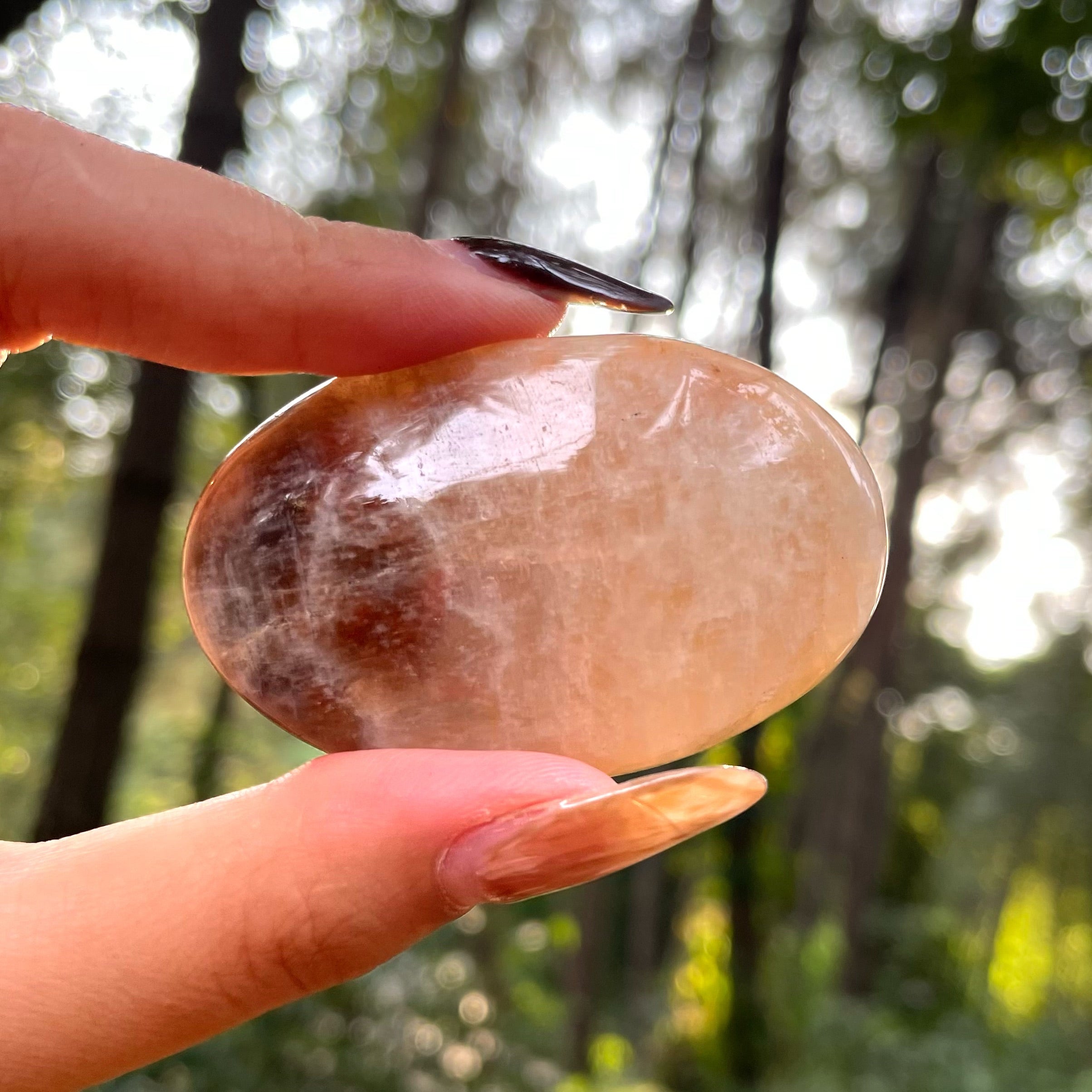 Energyshine Natural Moonstone Palm Stone | Raw Polished with Blue Flash for Therapy & Massage 🌙