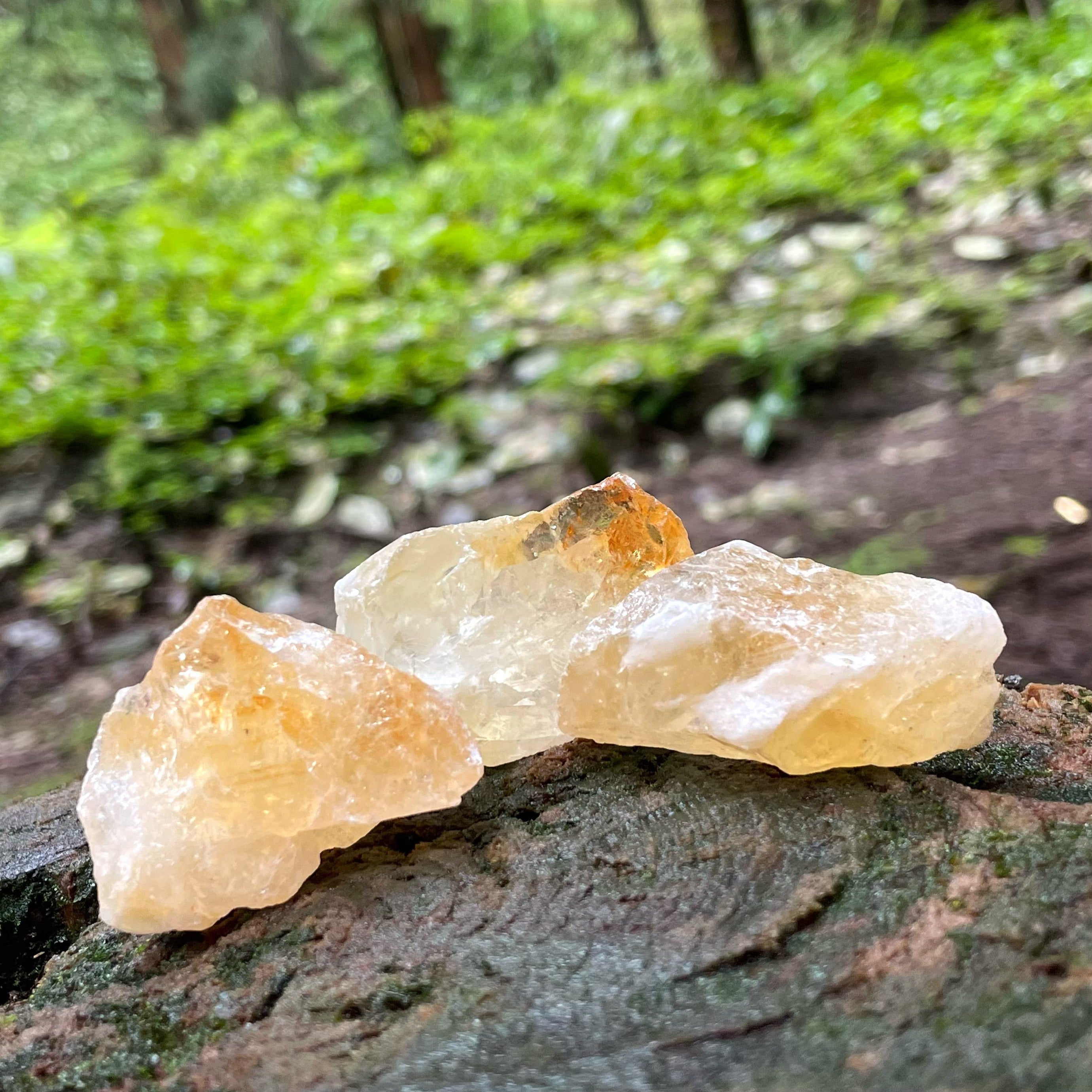 Energyshine Natural Brazilian Citrine Chips | Large Raw Stones for Aromatherapy 💛✨