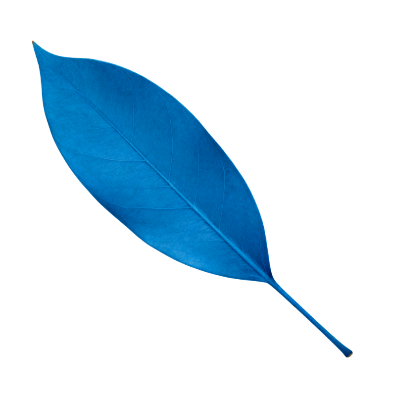 Creativity&Intuition