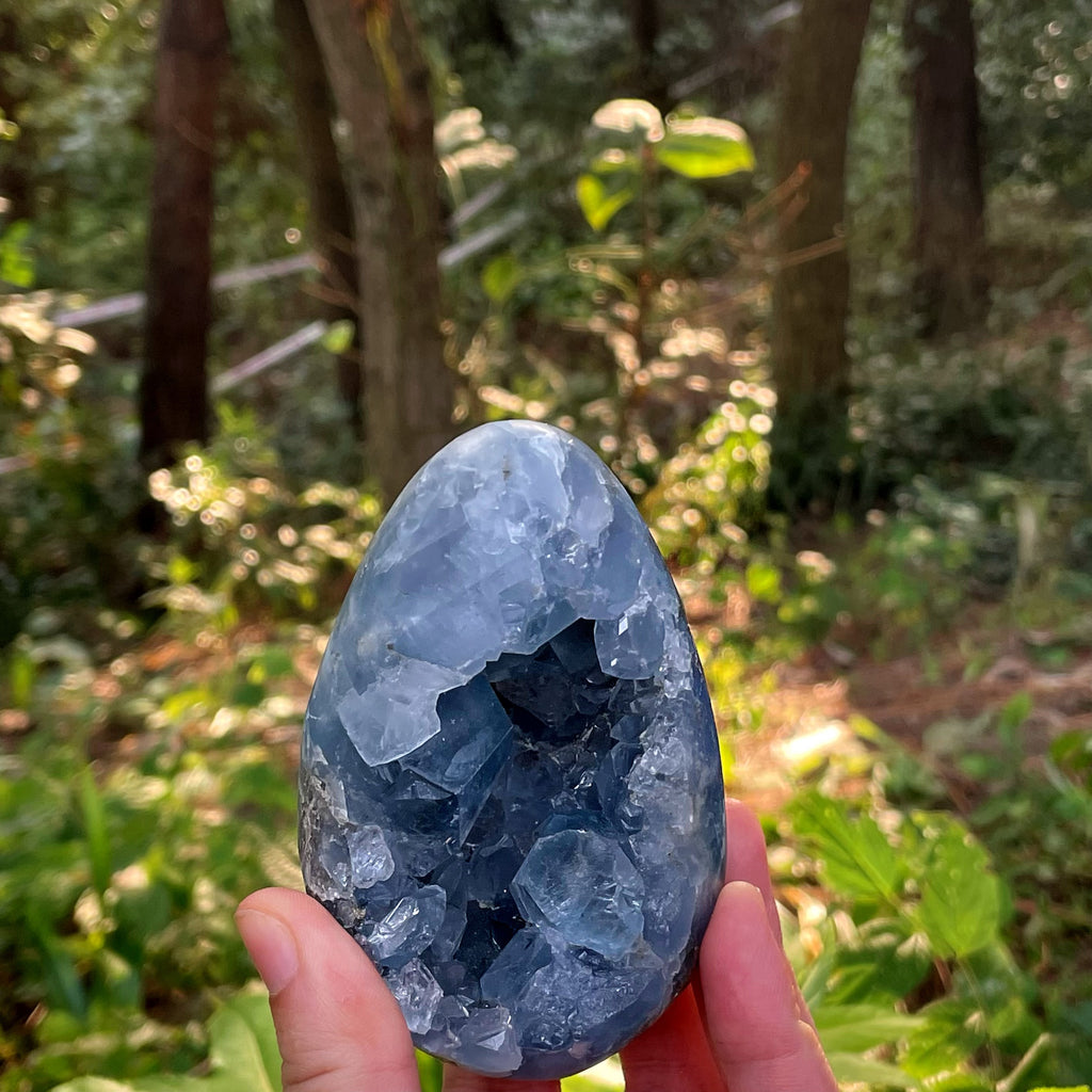 EnergyShine Natural Celestine Geode | A Piece of the Sky · Serene Communication & Space Purification