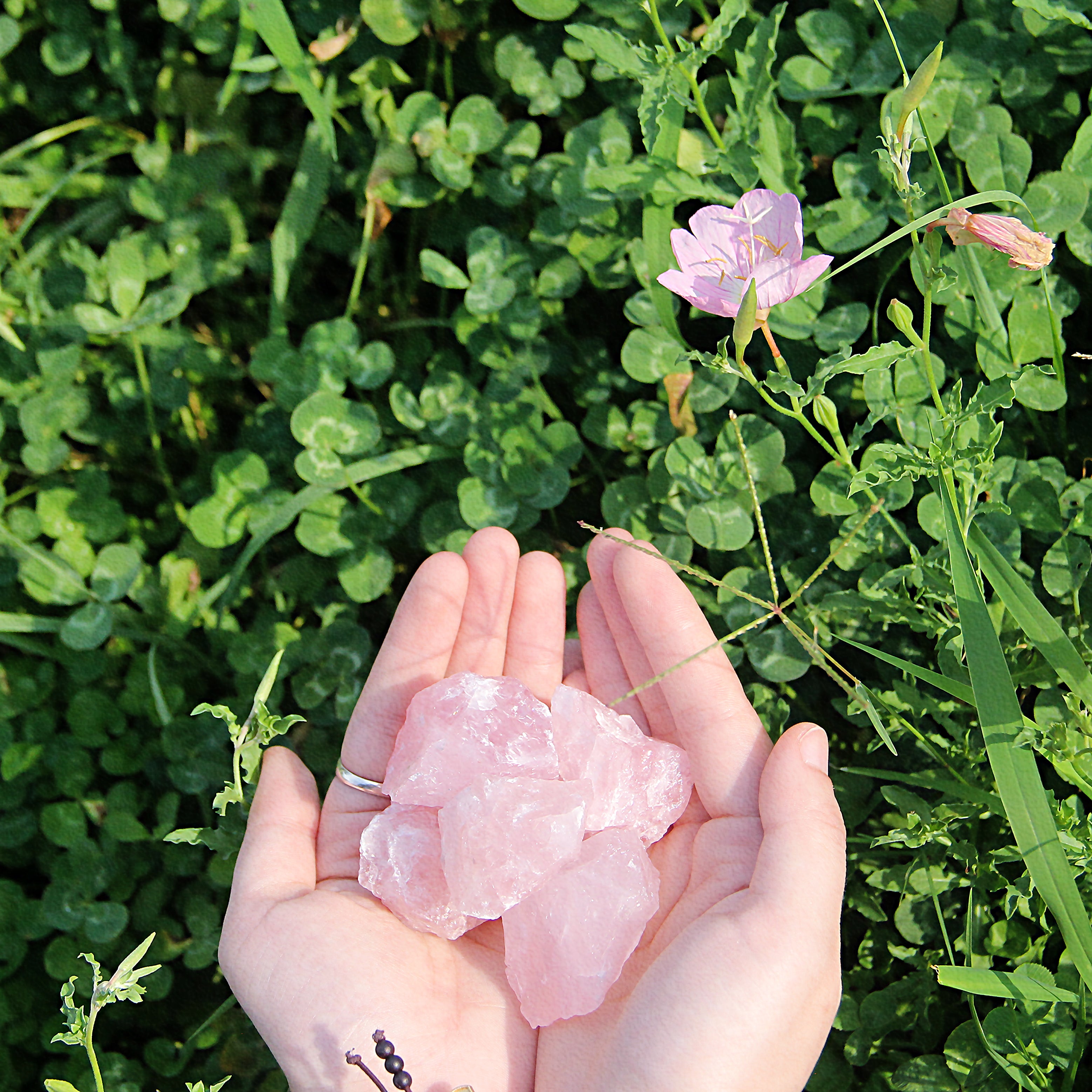EnergyShine Natural Raw Rose Quartz Crystal